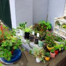 희망로534번길 이미지