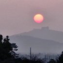 제주무릉도원집 이미지