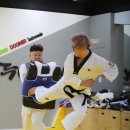 감전 태권도 이미지