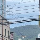 용호레포츠 이미지