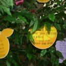 부산고용센터(고용복지플러스센터) 이미지