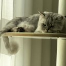 튼튼이농장 이미지