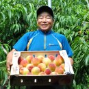 농암로(예안면) 이미지