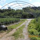 연천군마전리보건진료소 이미지