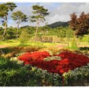 지리산허브밸리 이미지