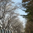 모악보건진료소 이미지