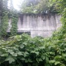 여주-1140 이미지