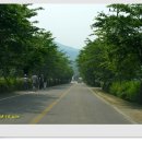 구례북초등학교 | ♬ 천년고찰 지리산 화엄사(1)