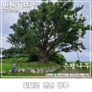 신도농협 맞은편 | 인천 강화 나들이 국내 섬 여행 서해 최북단 볼음도 캠핑과 볼거리