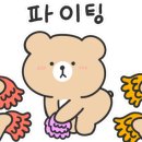 도봉광택