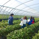 행복한농장 이미지