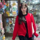 인스타 Daum카페