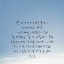 소나무와솔방울