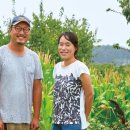 비원식당 이미지