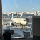 Angry Birds 2 | ETIHAD 에티하드항공 EY858 아부다비 AUH - 인천 ICN 이코노미 경유 레이오버 후기