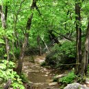 대둔산도립공원 이미지