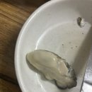 가보식당 | 아산 용화동 노포 횟집 가보식당 석화찜 제철 해산물 맛집 솔직후기