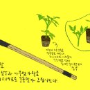 서학동사진관 네이버블로그