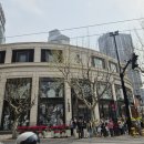 로맨스 | 상하이 스타벅스 리저브 로스터리 상하이 레인 로맨스 후기