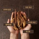 장원홍삼