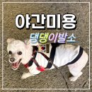 댕댕이발소 이미지