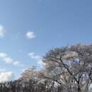 낙동강변로4-61 | 4월의 윤설, 02