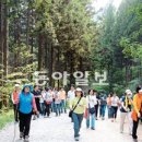 축령산 치유의 숲 안내센터 이미지