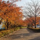 신석체육공원 입구 이미지