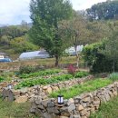 라파농장 이미지