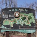 1호화장실(진달래화장실) 이미지