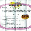 소초초등학교 병설유치원 이미지