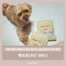 펫브로(Pet Bro) | 인천 부평 애견 수제간식 맛집 강아지 수제 케이크 간식 추천 - 펫브로(Pet Bro)