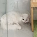 은빛동물병원 이미지