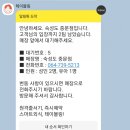 중문대포주상절리대 이미지