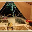 월드니스 이미지