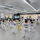 튼튼한 용인대 태권도장 이미지