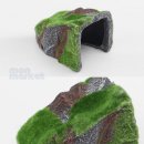 도마뱀마켓