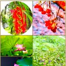 30. 後滄名詩후창명시(118~120首)/핵잠,탈조선,시드니,이민 판사,오사카 호텔값,화웨이,고용권리법,음바페,모로코,말 장식,카리브해 이미지