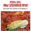 큰솔어린이집 | 해남 절임배추 20kg +양념 인기 no.1 무르지 않는 좋은제품 선택하는 방법