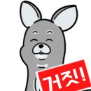 딸기애견 이미지