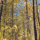 (주) 암새들 이미지