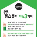 시바견 분양 루이몽 강남본점 네이버블로그