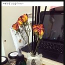 퓨져아트
