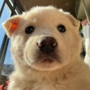 카인드팜 | [2026 WFK KOICA] KCOC 사전공통교육_식당(밥)