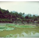 숲속건강나라 이미지