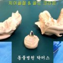 크라운 동물병원 이미지