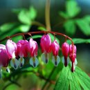 유곡회관 이미지