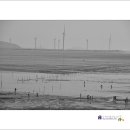 꿈꾸는 바다 이미지