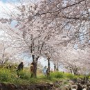 생태터널입구 이미지