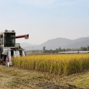 거성공업사 이미지